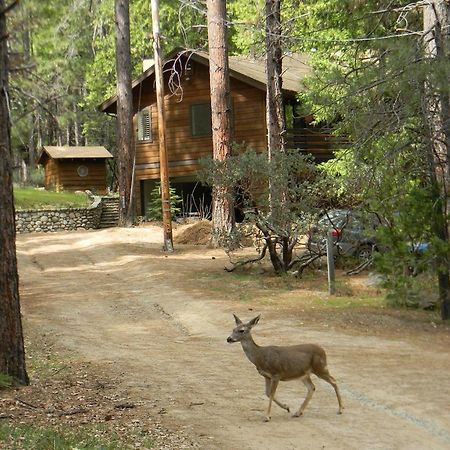 Wawona Glade Villa Exterior photo