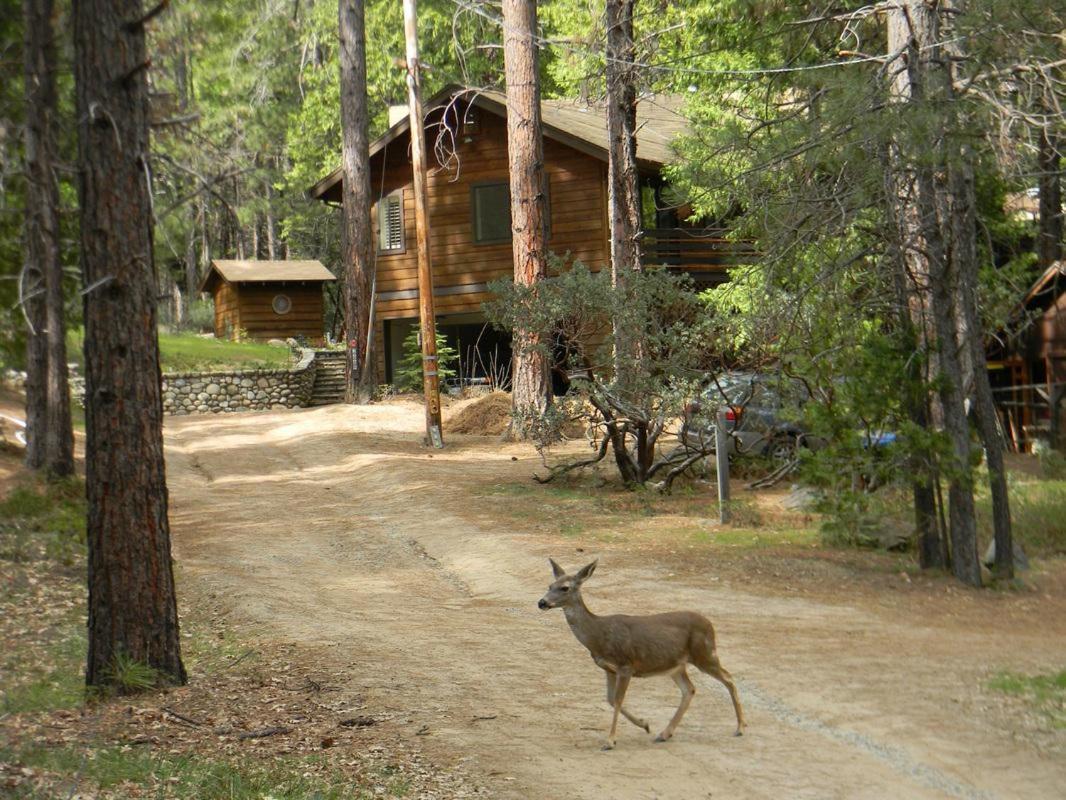 Wawona Glade Villa Exterior photo